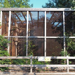 European kestrel aviary, 2020-09-12
