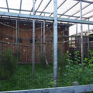 Eurasian eagle-owl and Western Siberian eagle-owl aviary, 2020-09-12