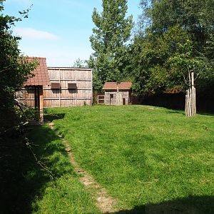 Domestic reindeer and Sandhill crane exhibit, 2020-09-12