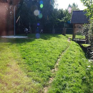 Domestic reindeer and Sandhill crane exhibit, 2020-09-12