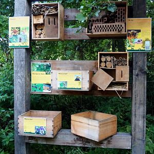 Insect hotel with signage on wild insects, 2020-09-12