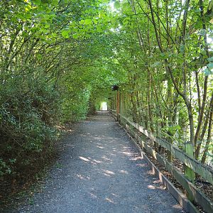 Walkway alongside the Eurasian bear exhibits, 2020-09-12