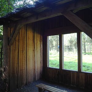 Eurasian brown bear viewing area, 2020-09-12