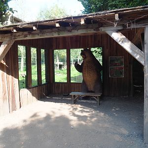 Eurasian brown bear viewing area with bear statue, 2020-09-12