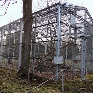 Enlarged monkey enclosures