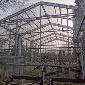 Enlarged  monkey enclosures