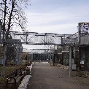 Link between old and new  monkey enclosures