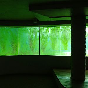 Underwater view window