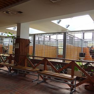 Inside Antelope House