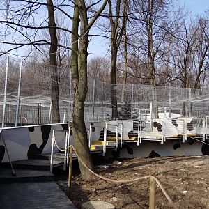 Snow leopard enclosure under consruction