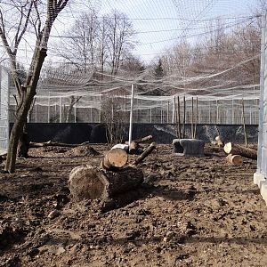 Snow leopard enclosure under consruction