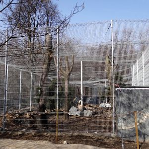 Snow leopard enclosure under consruction