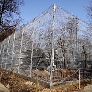 Snow leopard enclosure under consruction