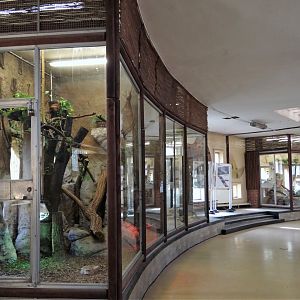 Terrariums in Elephant House