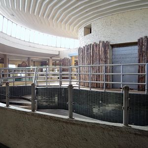 Inside Elephant House