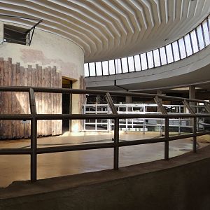 Inside Elephant House