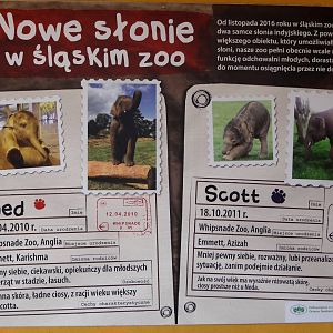 Signage - elephants’ "passports"