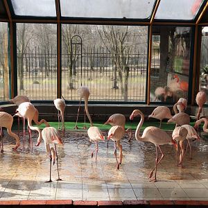 Inside flamingo house