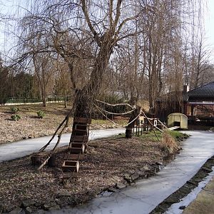 Lemur island and house