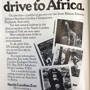 1980s North Carolina Zoo Magazine Ad