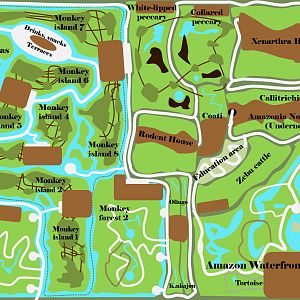 Realms of the Amazon - Part 2 - The Realm of the Capybara and the Saki