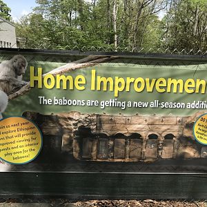 North Carolina Zoo: Baboon Housing Construction Banner