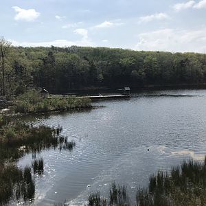 North Carolina Zoo: North America Lake