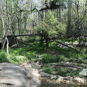 North Carolina Zoo: Cougar Habitat