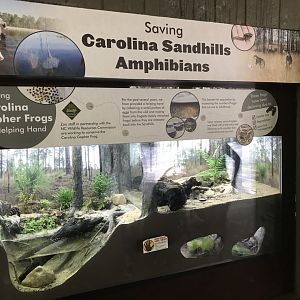 North Carolina Zoo: Sandhills Exhibit