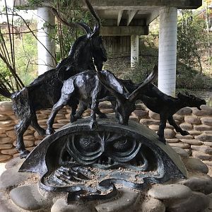 North Carolina Zoo: "Billy Goat Gruff"