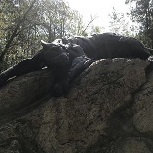 North Carolina Zoo: Cougar Statue