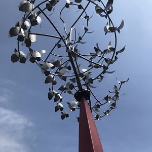 North Carolina Zoo: "Murmuration"