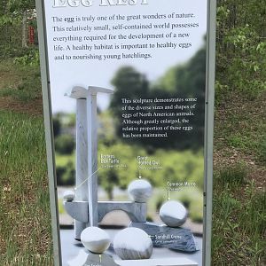 North Carolina Zoo: "Zoological Egg Rest" Sign