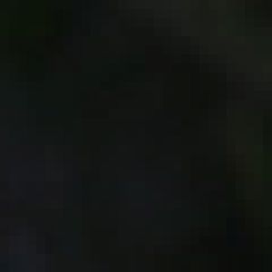 Sri Lankan leopard - 10 months old