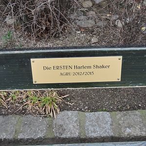 Bank dedicated to the first Harlem Shaker [2016]