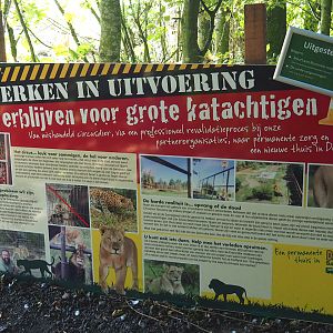 Sign big cat rescue construction project (delayed), 2020-09-12