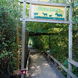 Acces to area with grazing animals, 2020-09-12