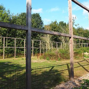 Ouessant sheep paddock, 2020-09-12
