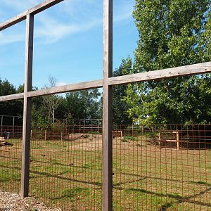 American Plains bison paddock, 2020-09-12