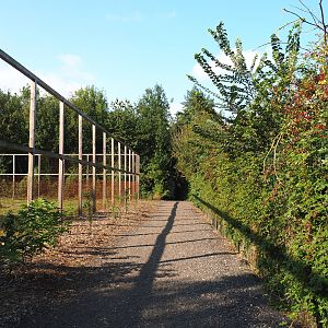 Walkway in the grazing animal area, 2020-09-12