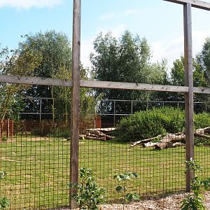 Barbary sheep paddock, 2020-09-12