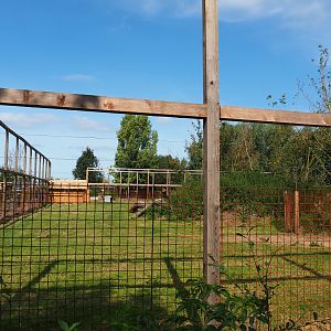 Barbary sheep paddock, 2020-09-12