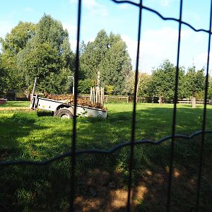 Soon-to-be waterbuffalo paddock, 2020-09-12
