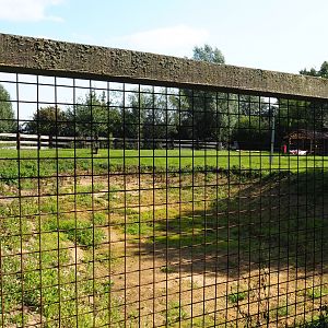 Soon-to-be water buffalo paddock, 2020-09-12