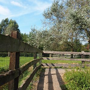 Walkway alongside the large hoofstock paddocks, 2020-09-12