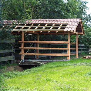 Construction of animal shelter above bridge connecting large hoofstock paddocks, 2020-09-12