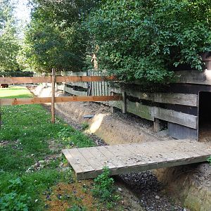 Grey crowned crane and Helmeted guineafowl separation area and barn, 2020-09-12