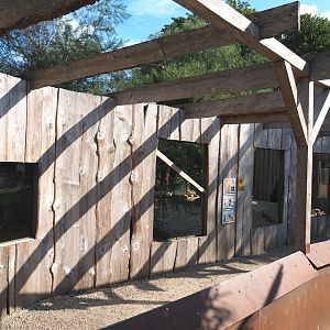 Viewing area Fennec fox and Indian crested porcupine/Meerkat exhibits, 2020-09-12