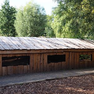 Mute swan barn, 2020-09-12