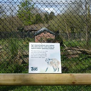 Sign on the revamped Maned Wolf enclosure, 12 April 2021